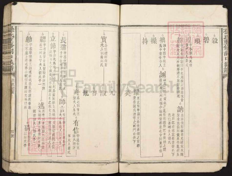 江西省吉安市泰和市苑前镇孙氏族谱-孙氏重修洞口派谱.pdf电子版预览图4