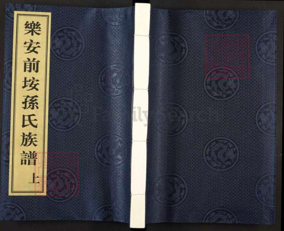 福建省厦门市翔安区内厝镇孙氏乐安堂族谱-乐安前埯孙氏族谱.pdf电子版缩略图