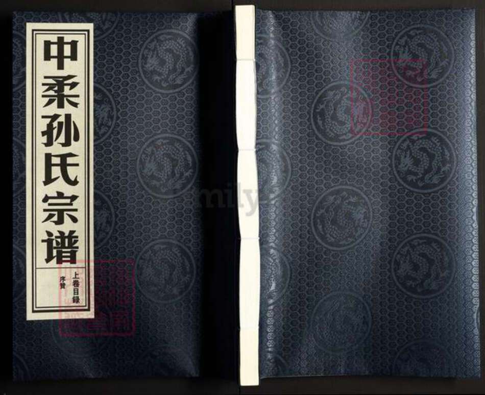 浙江省金华市金东区孝顺镇孙氏族谱-中柔孙氏宗谱.pdf电子版缩略图