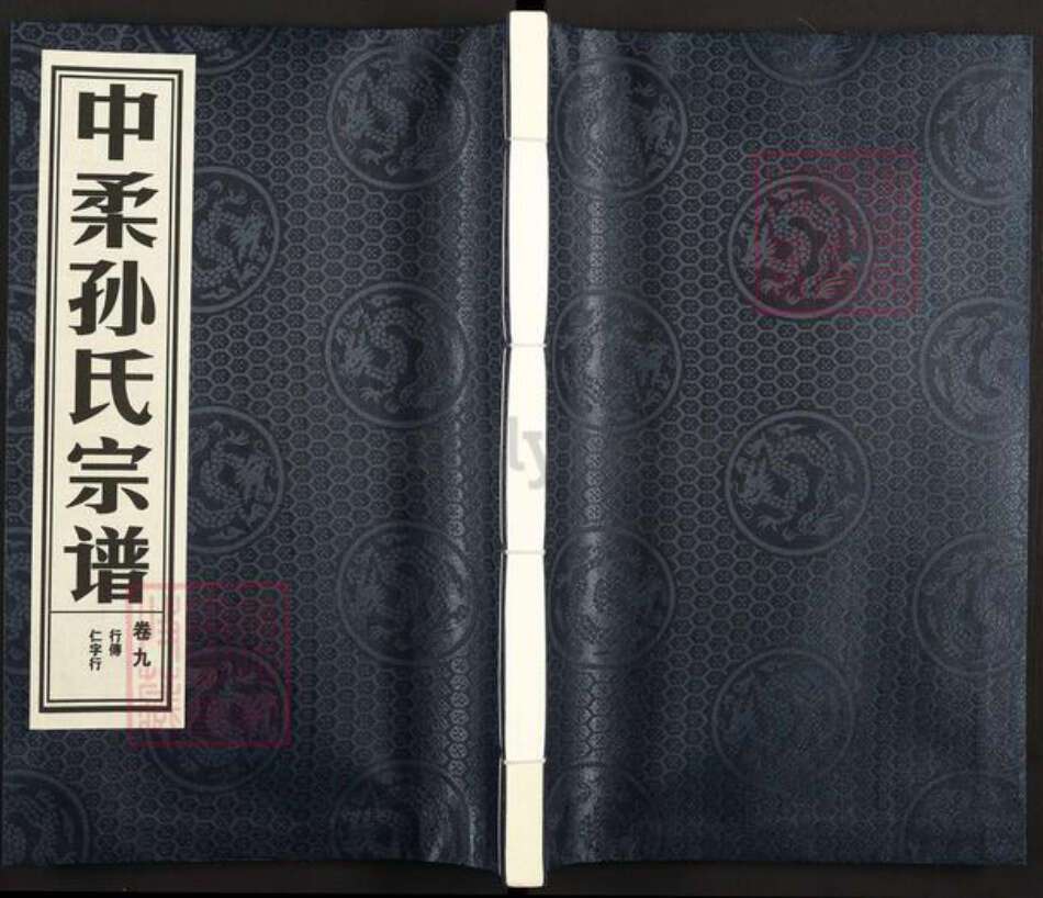 浙江省金华市孙氏族谱-中柔孙氏宗谱.pdf电子版缩略图
