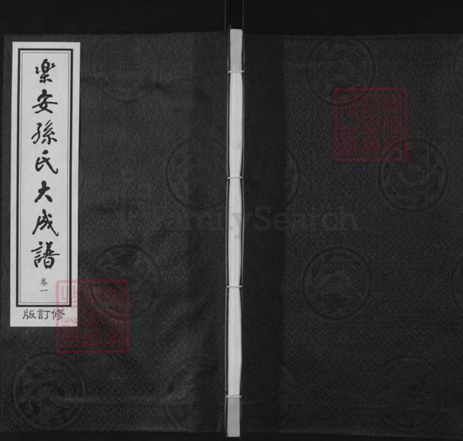 山东省滨州市惠民县辛店镇孙氏族谱-乐安孙氏大成谱.pdf电子版缩略图