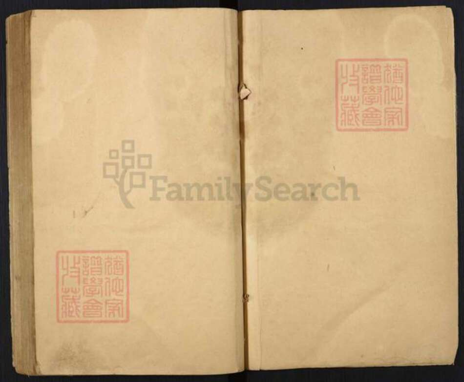 山东省济南市平阴县孙氏族谱-孙氏家乘.pdf电子版预览图3