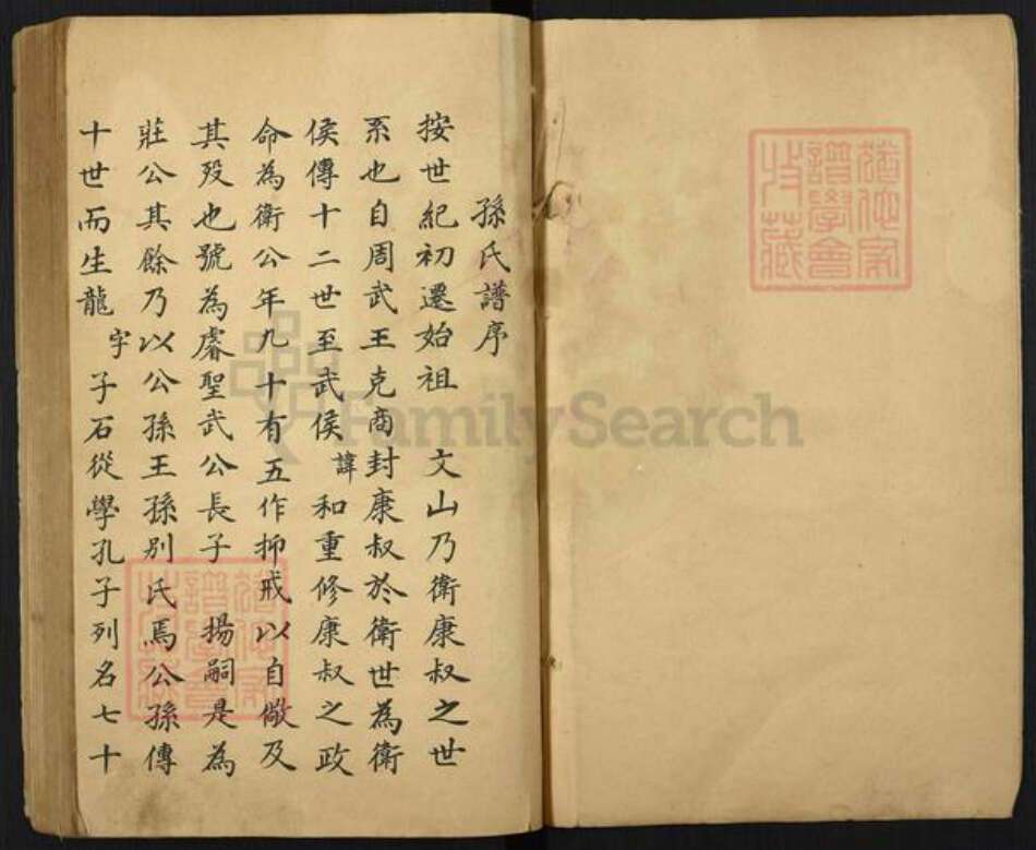 山东省济南市平阴县孙氏族谱-孙氏家乘.pdf电子版预览图4