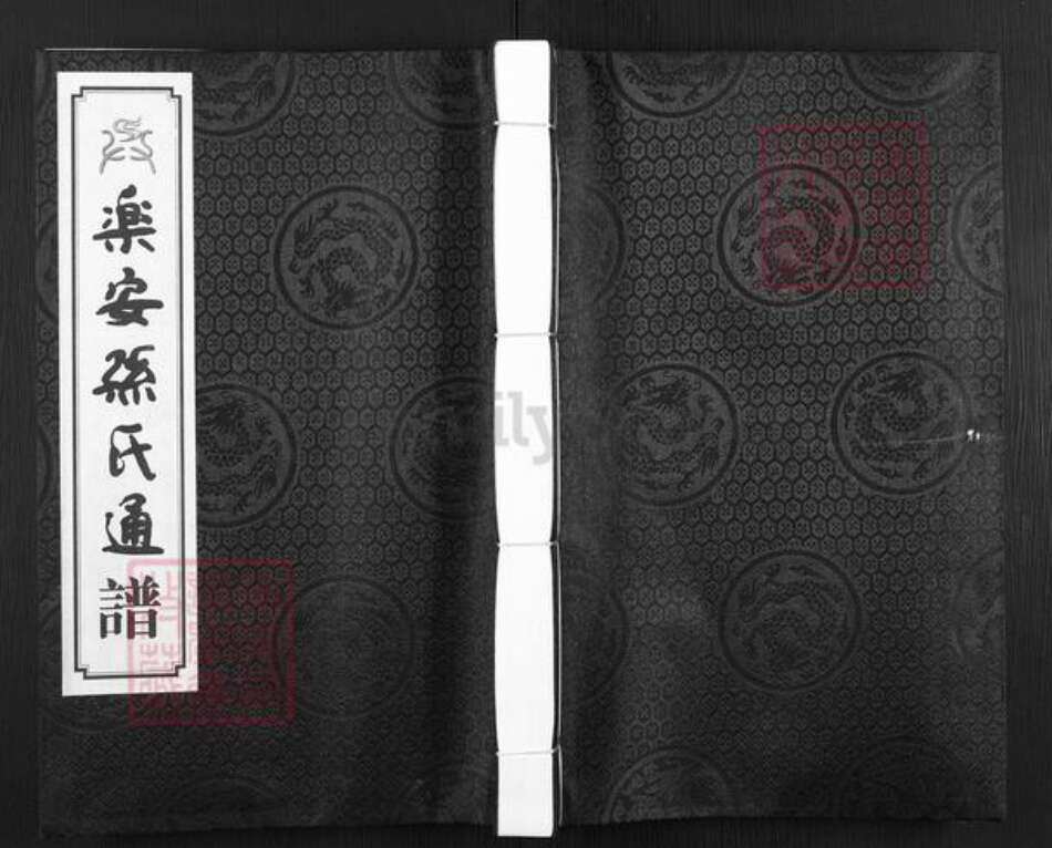 山东省滨州市惠民县惠民孙氏乐安堂族谱-乐安孙氏通谱.pdf电子版缩略图