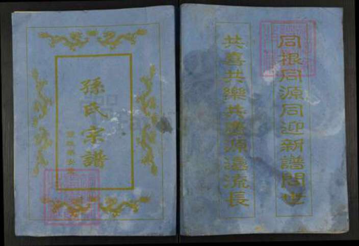 江苏省盐城市建湖县颜单镇孙氏乐安堂族谱-孙氏宗谱.pdf电子版缩略图