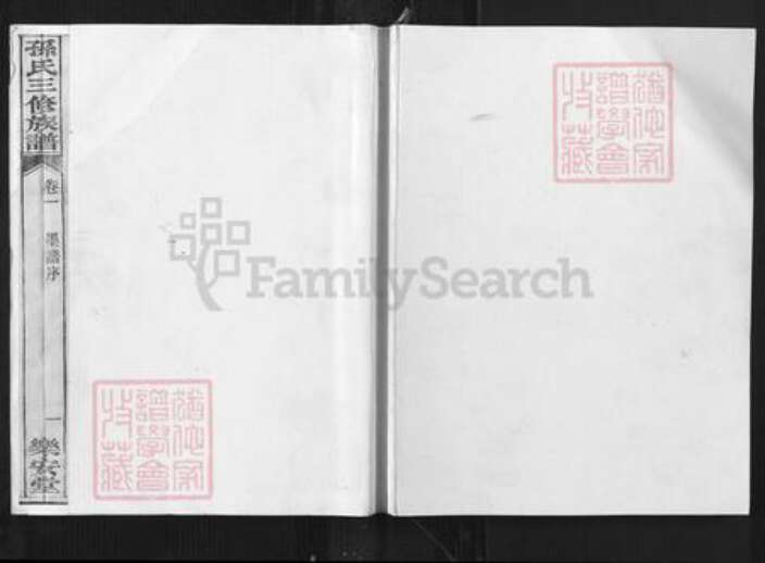 重庆市万州孙氏乐安堂族谱-孙氏三修族谱.pdf电子版缩略图