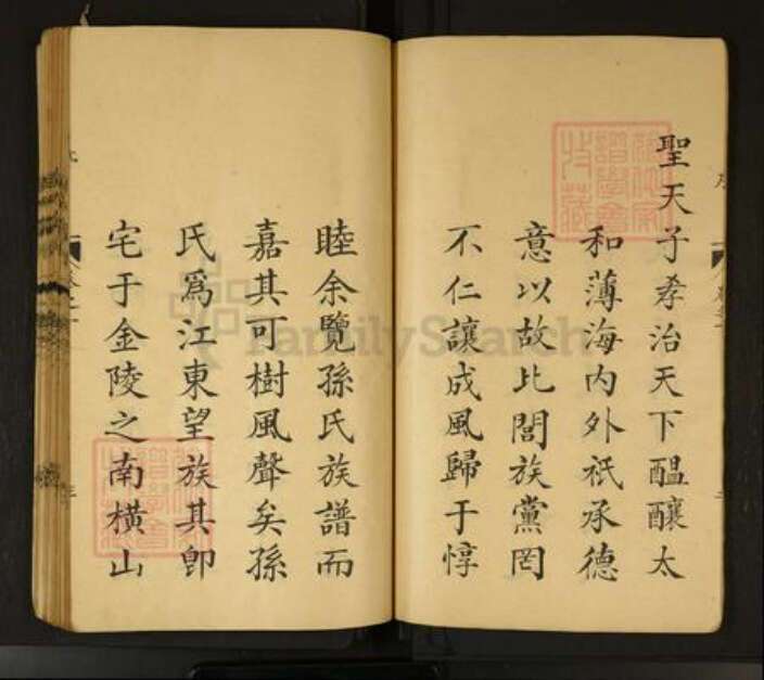 安徽省马鞍山市当涂县孙氏族谱-孙氏宗谱.pdf电子版预览图5