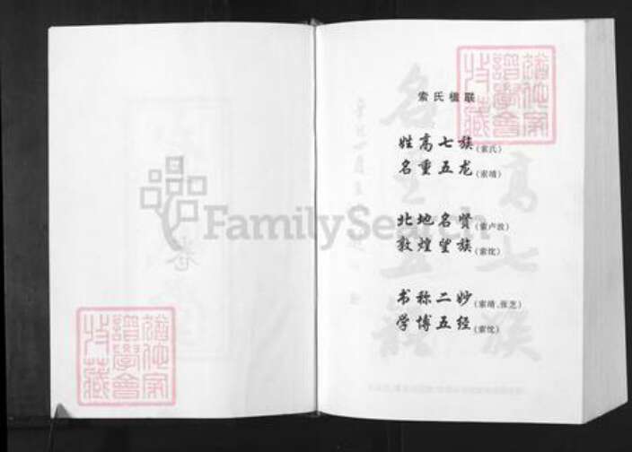 江苏省徐州市邳州市运河街道索氏武威堂族谱-索氏族谱.pdf电子版预览图4