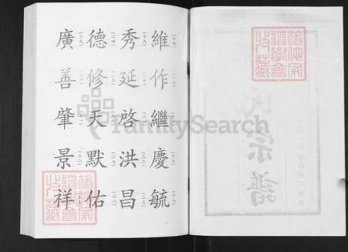 山东省淄博市淄川区谭氏族谱-谭氏宗谱.pdf电子版预览图2