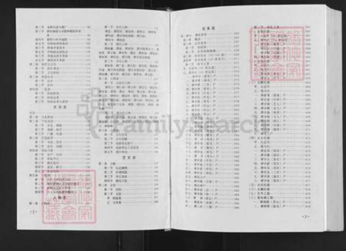 江西省吉安市永新县浬田镇谭氏族谱-永新澧田谭村村谱.pdf电子版预览图3