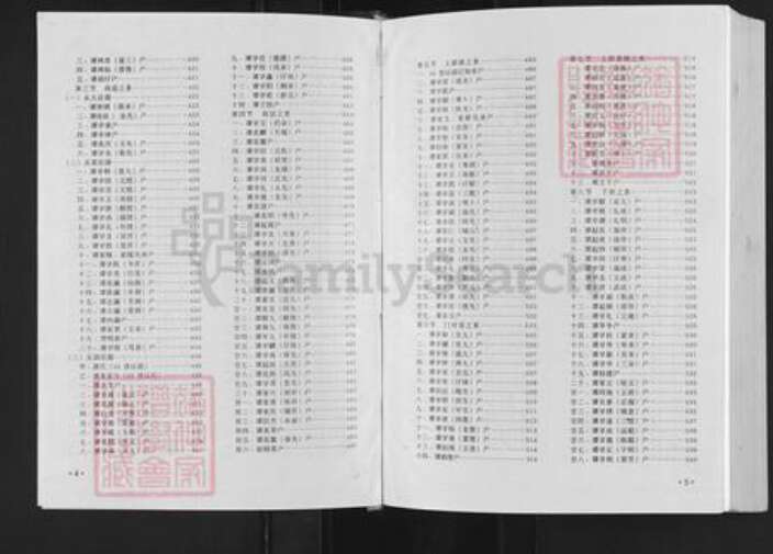 江西省吉安市永新县浬田镇谭氏族谱-永新澧田谭村村谱.pdf电子版预览图4