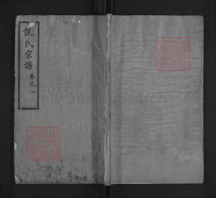 湖北省武汉市新洲区谈氏族谱-谈氏宗谱.pdf电子版缩略图