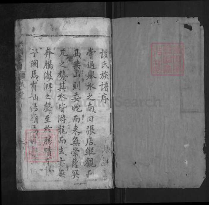 湖北省武汉市新洲区谈氏族谱-谈氏宗谱.pdf电子版预览图1