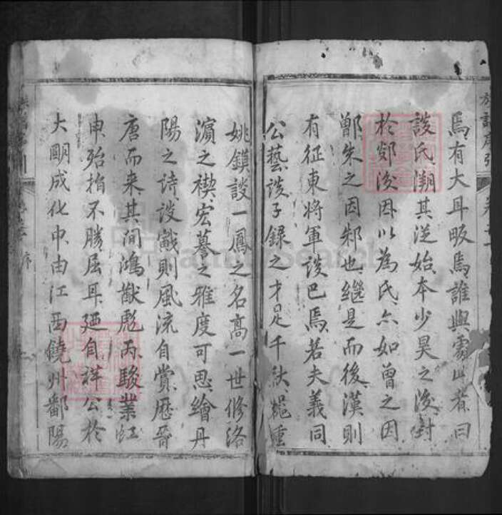 湖北省武汉市新洲区谈氏族谱-谈氏宗谱.pdf电子版预览图2