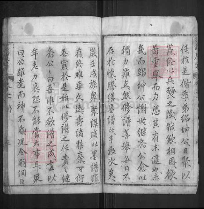 湖北省武汉市新洲区谈氏族谱-谈氏宗谱.pdf电子版预览图5