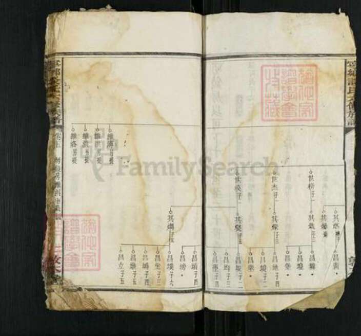 湖南省长沙市宁乡市谈氏敦本堂族谱-宁乡谈氏六修族谱.pdf电子版预览图2