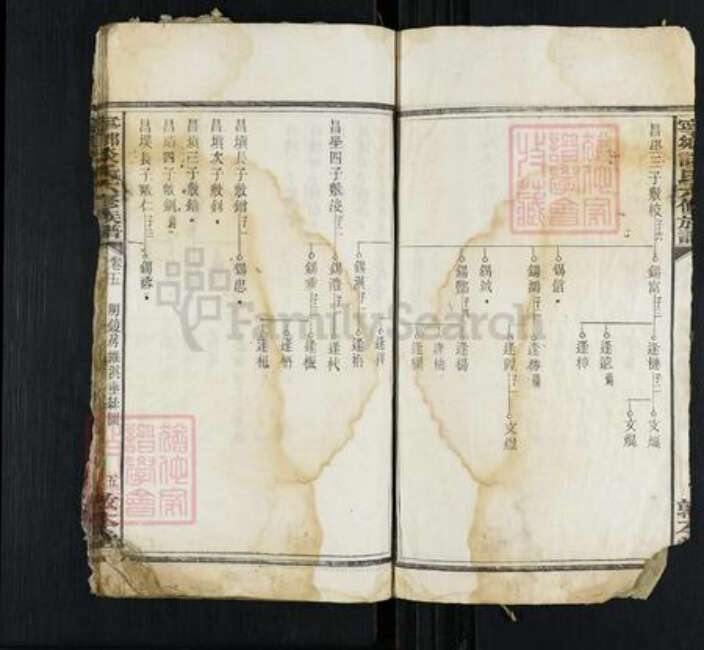 湖南省长沙市宁乡市谈氏敦本堂族谱-宁乡谈氏六修族谱.pdf电子版预览图5