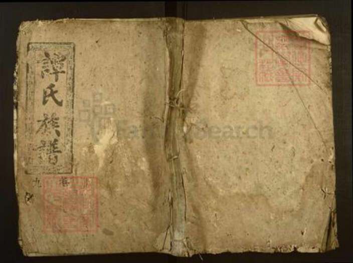 湖南省郴州市资兴市谭氏族谱-谭氏族谱.pdf电子版缩略图