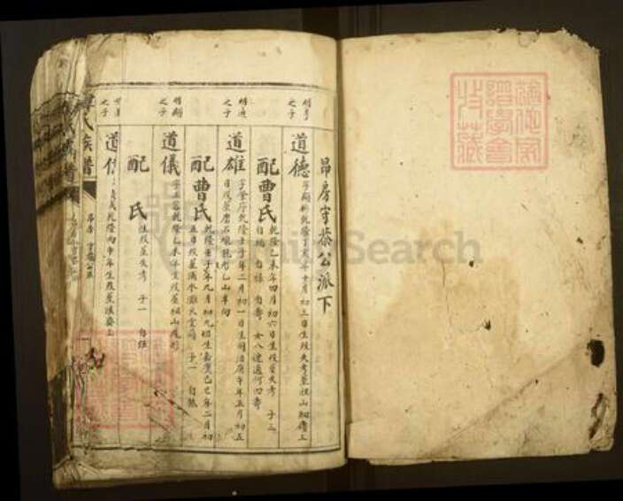 湖南省郴州市资兴市谭氏族谱-谭氏族谱.pdf电子版预览图1