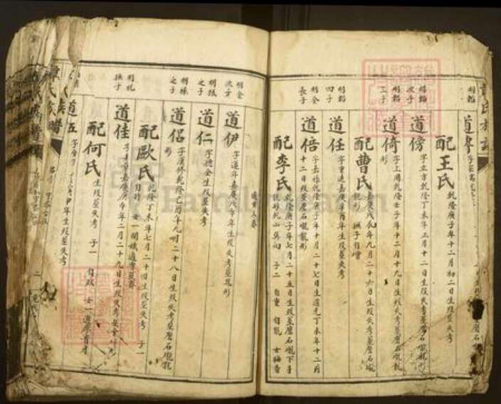 湖南省郴州市资兴市谭氏族谱-谭氏族谱.pdf电子版预览图2