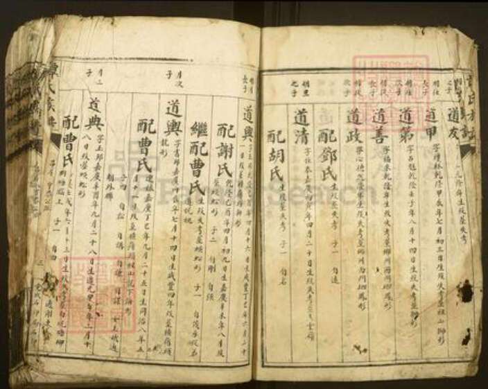 湖南省郴州市资兴市谭氏族谱-谭氏族谱.pdf电子版预览图3