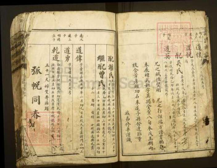 湖南省郴州市资兴市谭氏族谱-谭氏族谱.pdf电子版预览图4