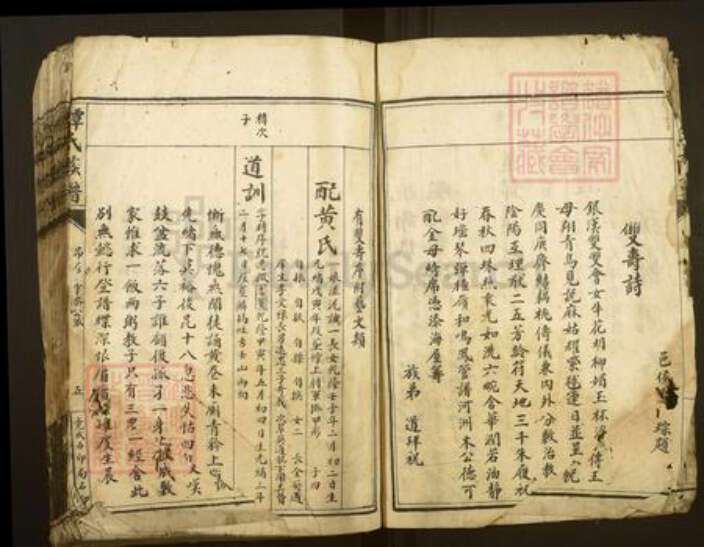 湖南省郴州市资兴市谭氏族谱-谭氏族谱.pdf电子版预览图5