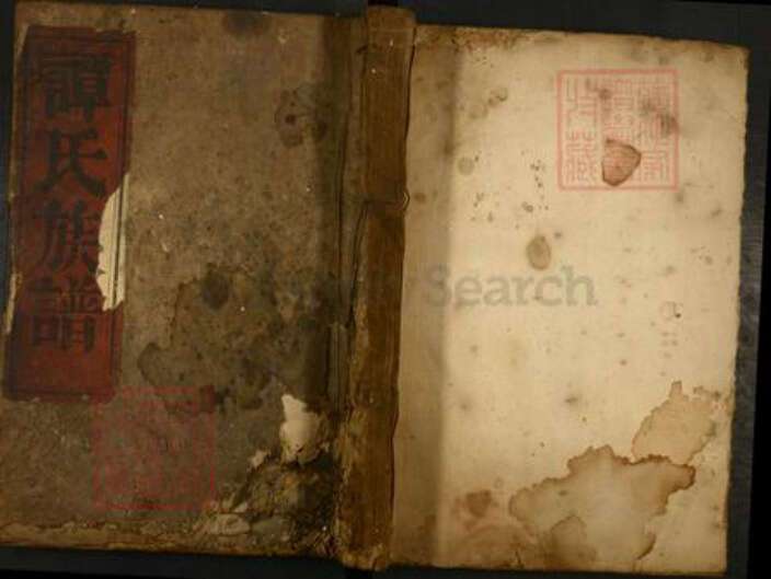 湖南省郴州市资兴市谭氏族谱-谭氏宗谱.pdf电子版缩略图