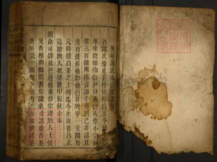 湖南省郴州市资兴市谭氏族谱-谭氏宗谱.pdf电子版预览图1