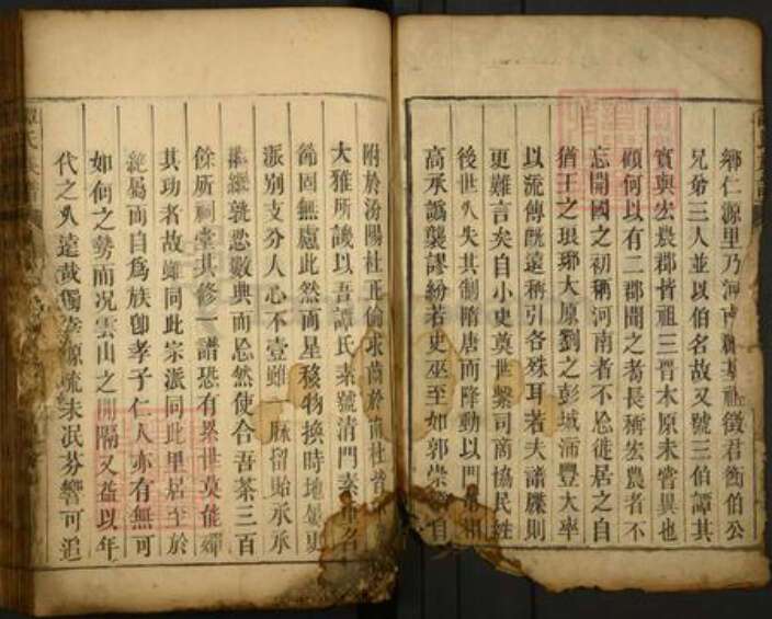 湖南省郴州市资兴市谭氏族谱-谭氏宗谱.pdf电子版预览图2