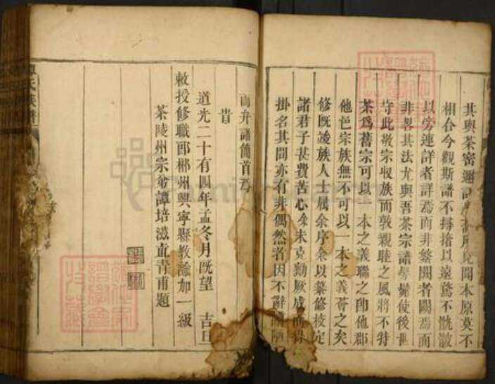 湖南省郴州市资兴市谭氏族谱-谭氏宗谱.pdf电子版预览图3