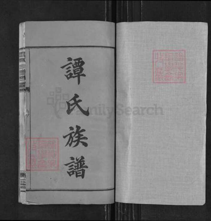 湖南省湘潭市谭氏永盛堂族谱-谭氏三修族谱.pdf电子版预览图1