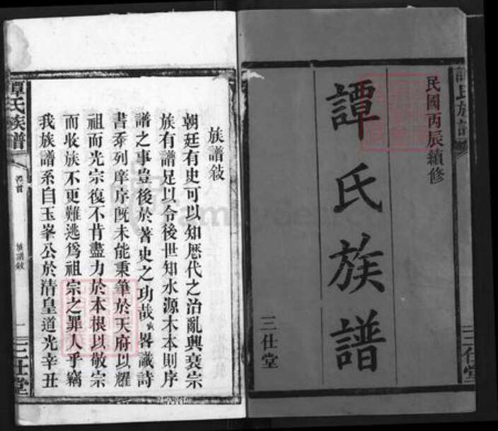 湖北省荆州市公安县南平镇谭氏三仕堂族谱-谭氏族谱.pdf电子版预览图1