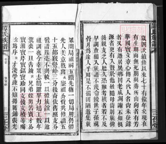 湖北省荆州市公安县南平镇谭氏三仕堂族谱-谭氏族谱.pdf电子版预览图2