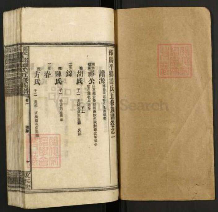 湖南省邵阳市邵东市团山镇谭氏敦本堂族谱-邵阳平乡谭氏五修族谱.pdf电子版预览图1