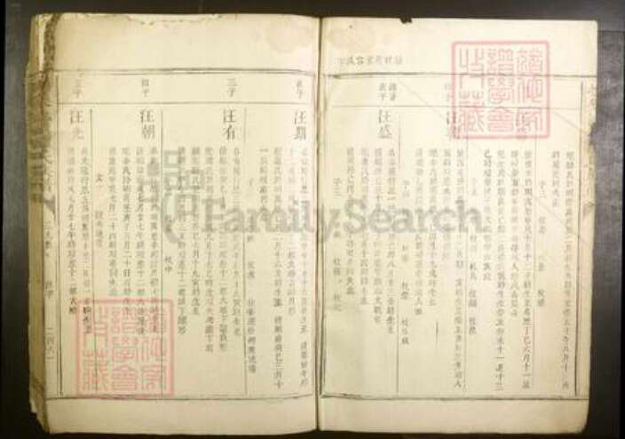 江西省抚州市谭氏族谱-抚乐池溪谭氏族谱.pdf电子版预览图2