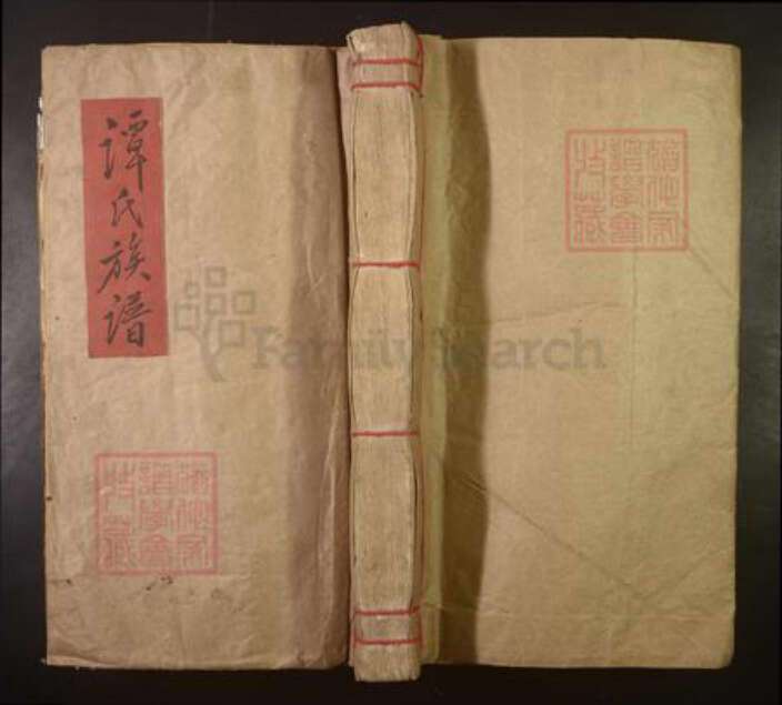 江西省赣州市谭氏族谱-赣邑谭氏重修族谱[不分卷].pdf电子版缩略图