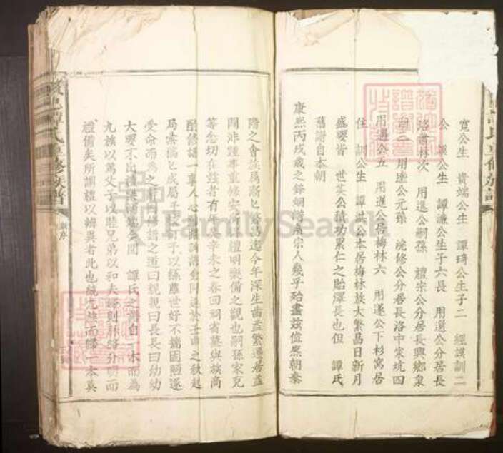 江西省赣州市谭氏族谱-赣邑谭氏重修族谱[不分卷].pdf电子版预览图3