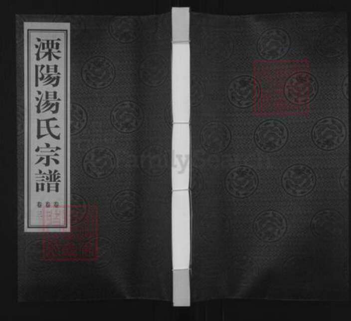 江苏省常州市溧阳市汤氏崇本堂族谱-溧阳汤氏宗谱.pdf电子版缩略图