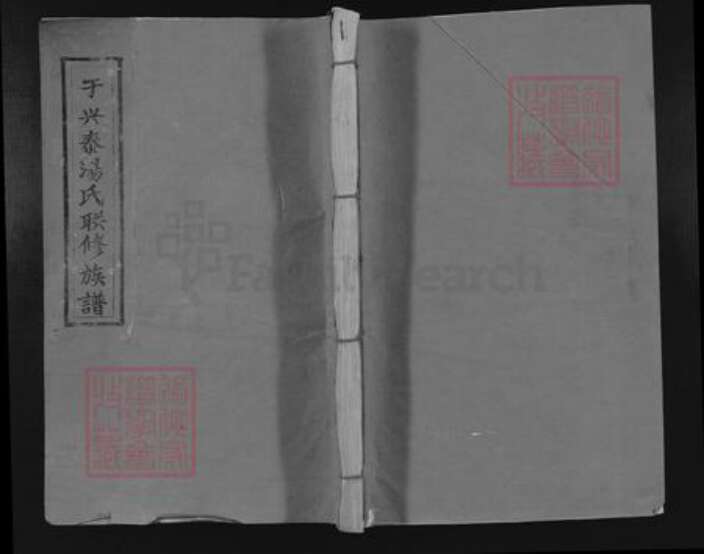 湖南省株洲市醴陵市醴陵汤氏中山堂族谱-于兴泰汤氏联修族谱.pdf电子版缩略图