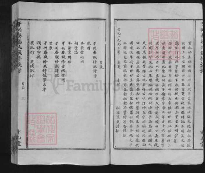 湖南省株洲市醴陵市醴陵汤氏中山堂族谱-于兴泰汤氏联修族谱.pdf电子版预览图3