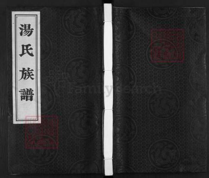 江苏省扬州市江都区郭村镇汤氏中山堂族谱-汤氏族谱.pdf电子版缩略图