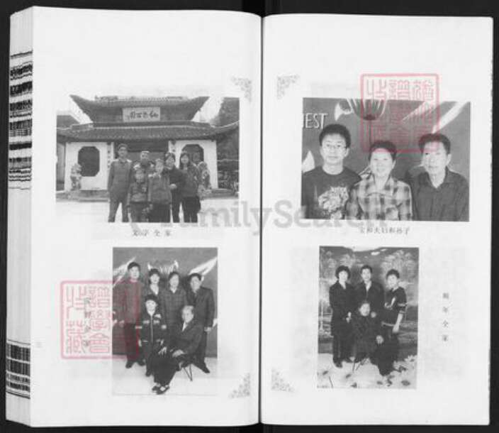 江苏省扬州市江都区郭村镇汤氏中山堂族谱-汤氏族谱.pdf电子版预览图5