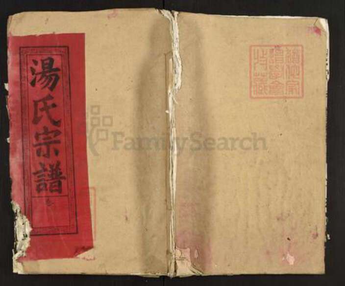 湖北省黄石市大冶市汤氏中山堂族谱-汤氏宗谱.pdf电子版缩略图