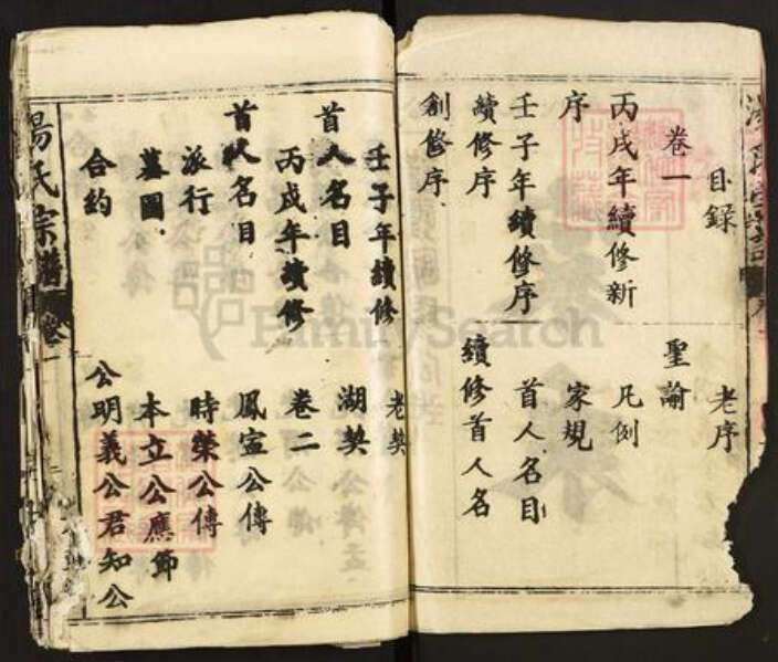 湖北省黄石市大冶市汤氏中山堂族谱-汤氏宗谱.pdf电子版预览图2