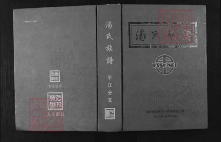 湖南省岳阳市平江县南江镇汤氏族谱-汤氏宗谱.平江分支.pdf电子版缩略图