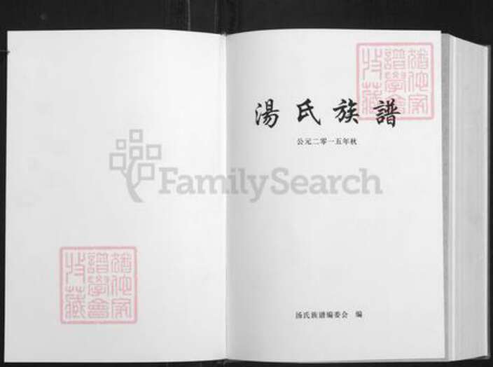 湖南省岳阳市平江县南江镇汤氏族谱-汤氏宗谱.平江分支.pdf电子版预览图1