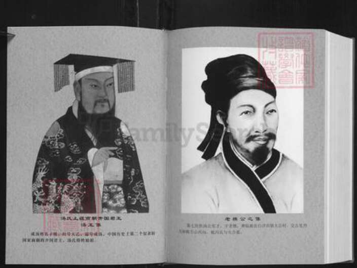 湖南省岳阳市平江县南江镇汤氏族谱-汤氏宗谱.平江分支.pdf电子版预览图2