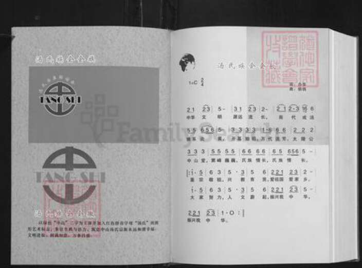 湖南省岳阳市平江县南江镇汤氏族谱-汤氏宗谱.平江分支.pdf电子版预览图4