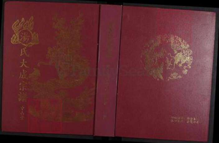 江西省九江市江西省九江市汤；汤氏执中堂族谱-汤氏大成宗谱.pdf电子版缩略图